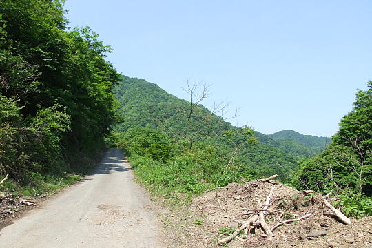 /pref-fukui/ikeda/g080518/kanmuri-9DSCF0392.JPG 林道冠山線 Point9 の写真(81) 2008年05月18日
