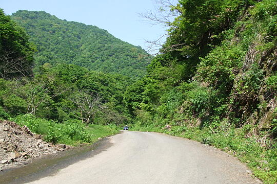 /pref-fukui/ikeda/g080518/kanmuri-9DSCF0402.JPG 林道冠山線 Point9 の写真(84) 2008年05月18日