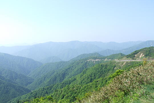 /pref-fukui/ikeda/g080518/kanmuri-gDSCF0273.JPG 林道冠山線 岐阜県側 の写真(82) 2008年05月18日