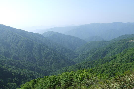 /pref-fukui/ikeda/g080518/kanmuri-gDSCF0275.JPG 林道冠山線 岐阜県側 の写真(83) 2008年05月18日