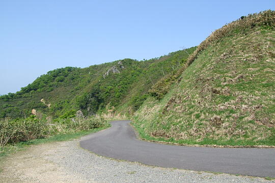 /pref-fukui/ikeda/g080518/kanmuri-gDSCF0277.JPG 林道冠山線 岐阜県側 の写真(84) 2008年05月18日
