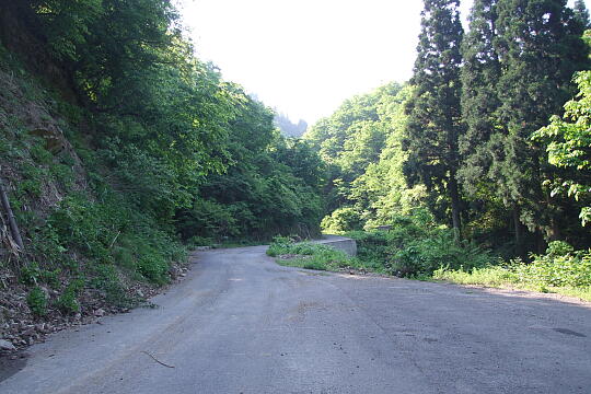 /pref-fukui/ikeda/g080518/kanmuri-iDSCF0147.JPG 林道冠山線 起点 の写真(86) 2008年05月18日