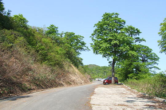 /pref-fukui/ikeda/g080518/kanmuri-tDSCF0287.JPG 林道冠山線 冠山峠 の写真(86) 2008年05月18日