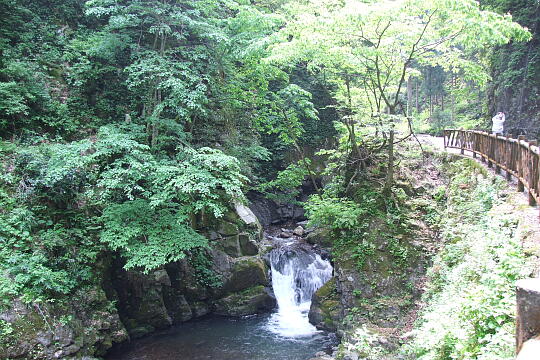 龍双ヶ滝 の写真(84) 2008年05月18日