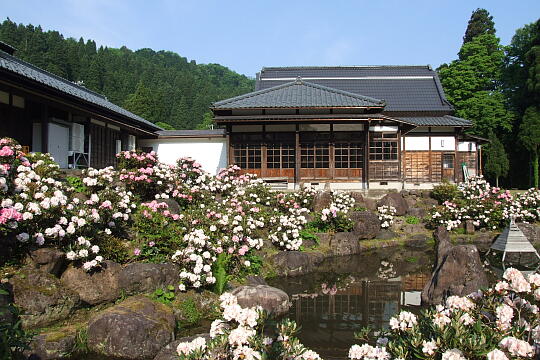 /pref-fukui/ikeda/g080518/soba-dojoDSCF0047.JPG ふるさとふれあい道場(そば道場) の写真(83) 2008年05月18日