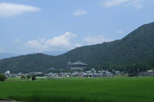 /pref-fukui/katsuyama/g080721/echizen-daibutsuDSCF2122.JPG 越前大仏(大師山清大寺) の写真(81) 2008年07月21日