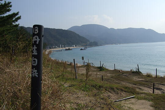 丹生白浜海水浴場 の写真(86) 2007年11月25日