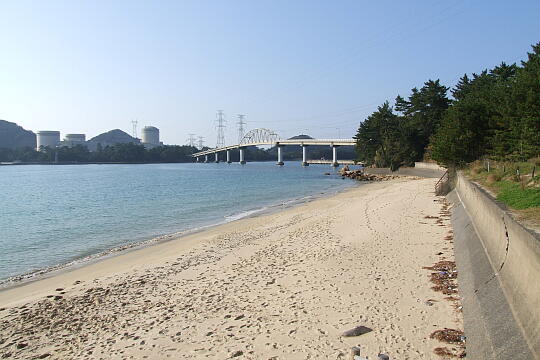丹生白浜海水浴場 の写真(88) 2007年11月25日