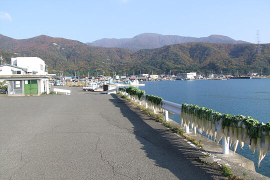 /pref-fukui/mihama/g071125/nyuDSCF6433.JPG 丹生 の写真(83) 2007年11月25日