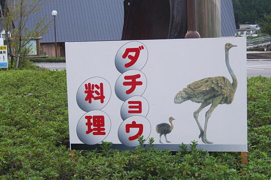 縄文プラザ の写真(81) 2006年09月23日
