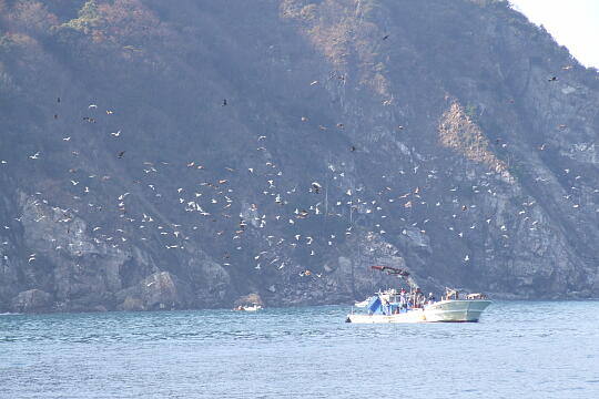 /pref-fukui/mikatagoko/g071125/hiruga-sDSCF6208.JPG 日向(3)海水浴場付近 の写真(83) 2007年11月25日