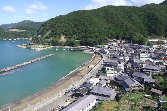田烏 の写真(88) 2006年10月09日