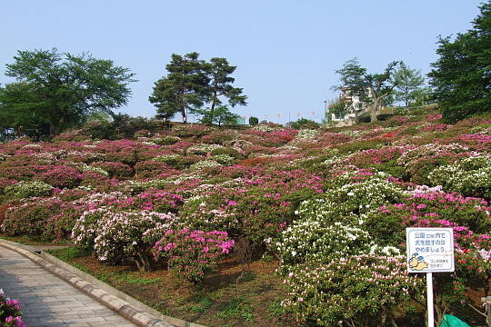 西山公園 さばえつつじまつり（２） の写真(80) 2007年05月03日