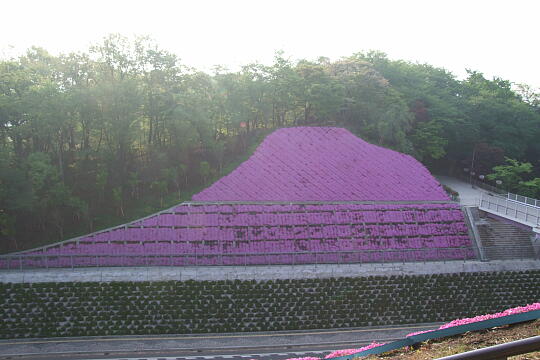 /pref-fukui/sabae/g070503/nishiyamakoen-hDSCF5590.JPG 西山公園 その他 の写真(80) 2007年05月03日
