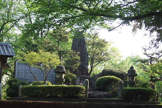 /pref-fukui/sabae/g070503/nishiyamakoen-hDSCF5621.JPG 西山公園 その他 の写真(82) 2007年05月03日