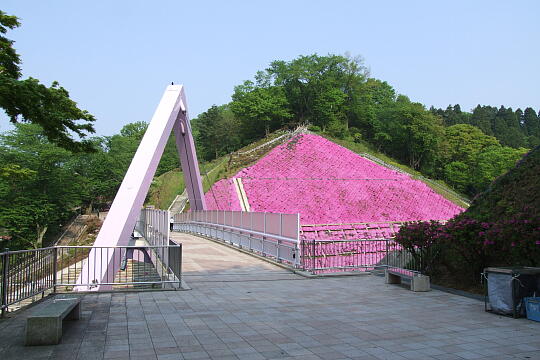 /pref-fukui/sabae/g070503/nishiyamakoen-hDSCF5735.JPG 西山公園 その他 の写真(85) 2007年05月03日