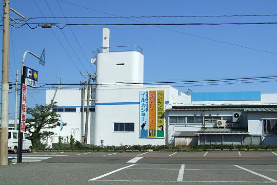 /pref-fukui/sakai/g060903/suizokukanDSCF0415.JPG 越前松島水族館 の写真(81) 2006年09月03日