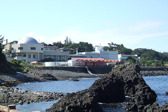 /pref-fukui/sakai/g060903/suizokukanDSCF0434.JPG 越前松島水族館 の写真(83) 2006年09月03日