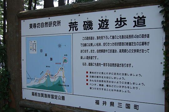 /pref-fukui/sakai/g080914/ariso-yuhodoDSCF2868.JPG 荒磯遊歩道(ありそゆうほどう) の写真(85) 2008年09月14日