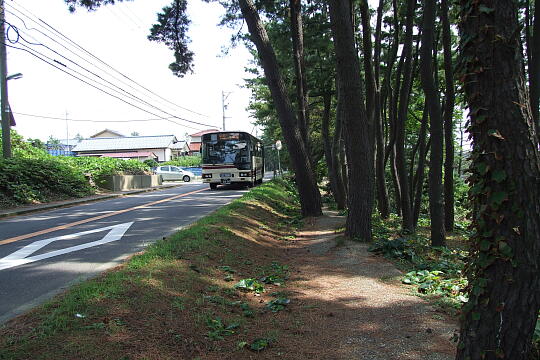 /pref-fukui/sakai/g080914/ariso-yuhodoDSCF2871.JPG 荒磯遊歩道(ありそゆうほどう) の写真(86) 2008年09月14日