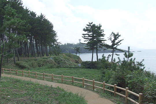 /pref-fukui/sakai/g080914/ariso-yuhodoDSCF2878.JPG 荒磯遊歩道(ありそゆうほどう) の写真(84) 2008年09月14日