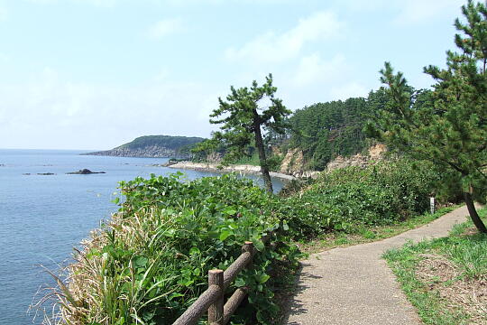 /pref-fukui/sakai/g080914/asiro-yuhodoDSCF2893.JPG 荒磯遊歩道(ありそゆうほどう) の写真(81) 2008年09月14日