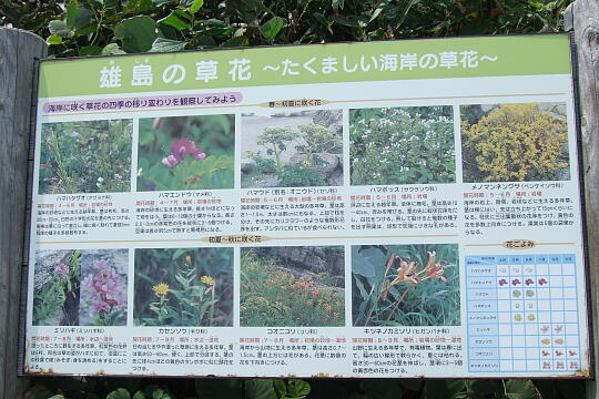 雄島（３） の写真(83) 2008年09月14日