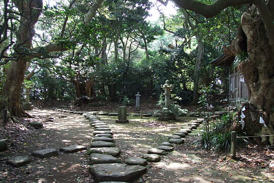 /pref-fukui/sakai/g080914/oshima-jDSCF2846.JPG 雄島(5)大湊神社付近 の写真(84) 2008年09月14日