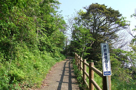 /pref-fukui/takahama/g009999/otomi-yuhodo99612099.JPG 音海遊歩道 の写真(83) 2000年99月99日