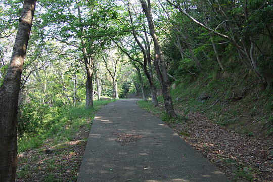 /pref-fukui/takahama/g009999/otomi-yuhodo99612399.JPG 音海遊歩道 の写真(84) 2000年99月99日