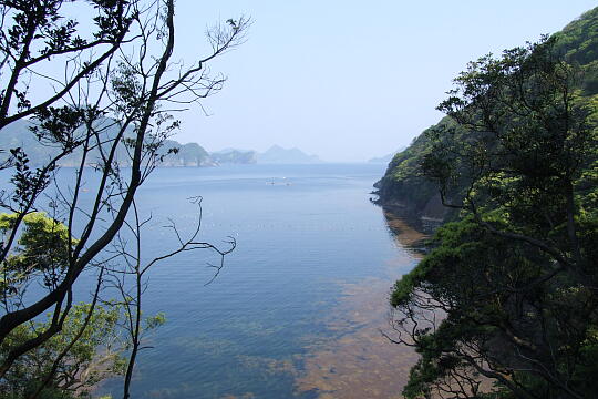/pref-fukui/takahama/g009999/otomi-yuhodo99614499.JPG 音海遊歩道 の写真(87) 2000年99月99日
