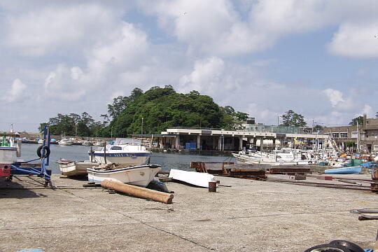 /pref-fukui/takahama/g050605/shiroyama-aP6053979.JPG 城山公園(1) の写真(80) 2005年06月05日