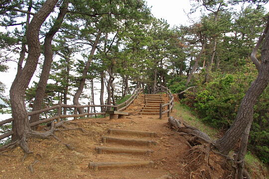 城山公園（２） の写真(80) 2005年06月05日