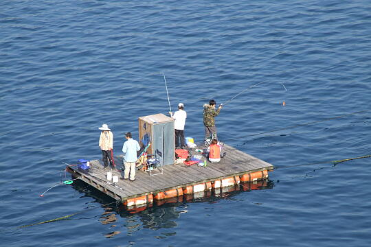 /pref-fukui/takahama/g070504/tanouraDSCF6085.JPG 田ノ浦 の写真(80) 2007年05月04日