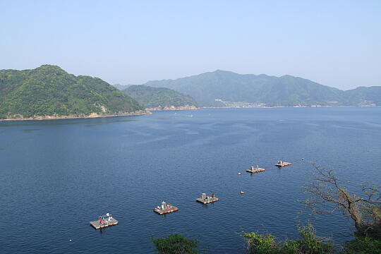 /pref-fukui/takahama/g070504/tanouraDSCF6092.JPG 田ノ浦 の写真(81) 2007年05月04日