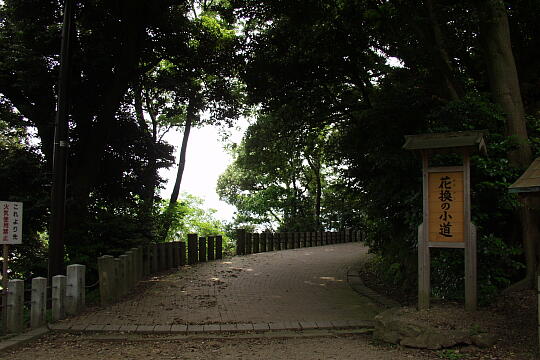 /pref-fukui/tsuruga/g060604/kanegasaki-joshiP6047241.JPG 金ヶ崎城址 の写真(82) 2006年06月04日