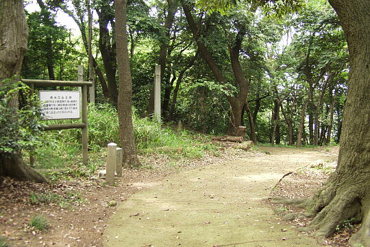 /pref-fukui/tsuruga/g060604/kanegasaki-joshiP6047256.JPG 金ヶ崎城址 の写真(85) 2006年06月04日