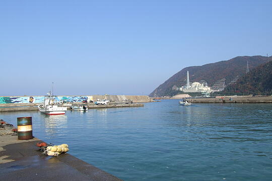 /pref-fukui/tsuruga/g071125/shirakiDSCF6418.JPG 白木 の写真(84) 2007年11月25日