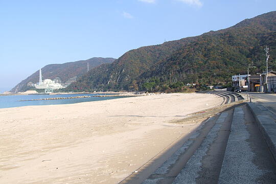 /pref-fukui/tsuruga/g071125/shirakiDSCF6424.JPG 白木 の写真(85) 2007年11月25日