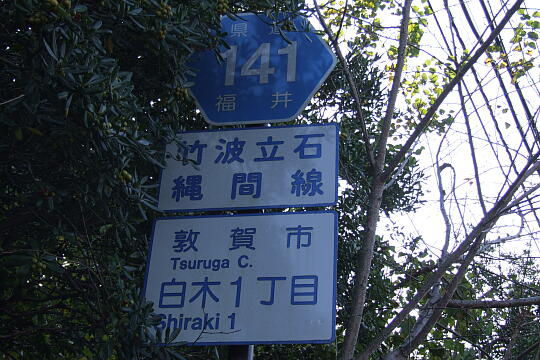 /pref-fukui/tsuruga/g071125/shirakiDSCF6426.JPG 白木 の写真(86) 2007年11月25日