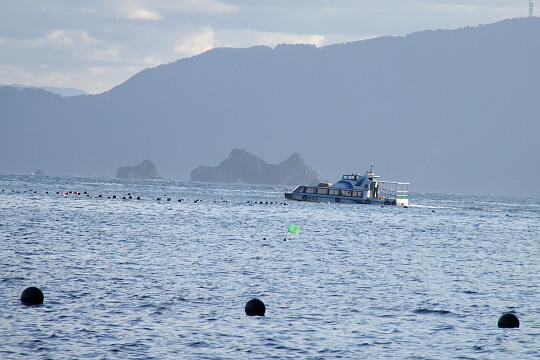 /pref-fukui/wakasa/g060923/kaichukoenDSCF1038.JPG 三方海中公園 の写真(83) 2006年09月23日