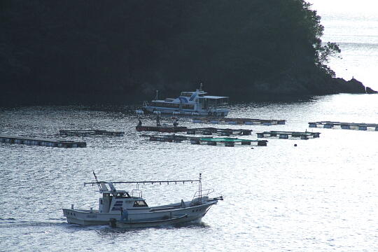/pref-fukui/wakasa/g060923/kaichukoenDSCF1051.JPG 三方海中公園 の写真(85) 2006年09月23日