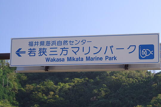/pref-fukui/wakasa/g061009/marine-parkDSCF1412.JPG 若狭三方マリーンパーク の写真(83) 2006年10月09日