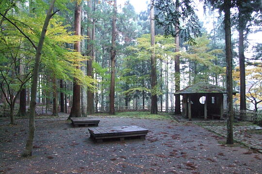 /pref-fukui/wakasa/g071125/uriwarinotakiDSCF5922.JPG 瓜割の滝(若狭瓜割名水公園) の写真(82) 2007年11月25日