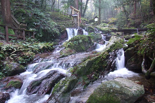 /pref-fukui/wakasa/g071125/uriwarinotakiDSCF5930.JPG 瓜割の滝(若狭瓜割名水公園) の写真(83) 2007年11月25日