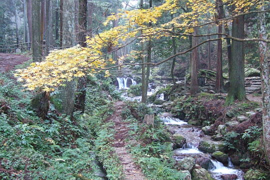 /pref-fukui/wakasa/g071125/uriwarinotakiDSCF5951.JPG 瓜割の滝(若狭瓜割名水公園) の写真(86) 2007年11月25日