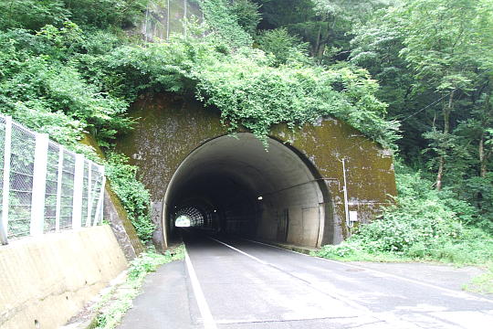 /pref-fukui/yanagase/g100815/yana-tone-sDSCF5841.JPG 刀根トンネル(東側入口) の写真(83) 2010年08月15日