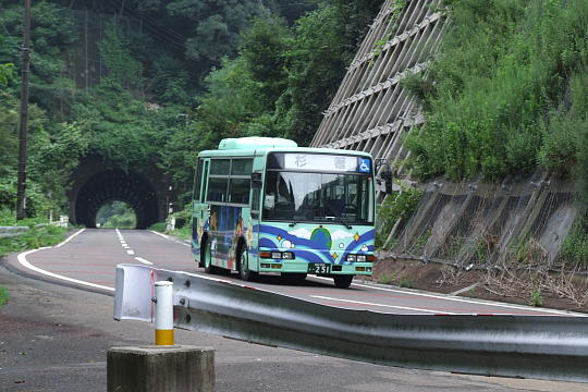 /pref-fukui/yanagase/g100815/yana-tone-sDSCF5918.JPG 刀根トンネル(東側入口) の写真(85) 2010年08月15日