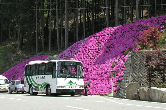 下呂温泉合掌村 の写真(84) 2005年05月05日