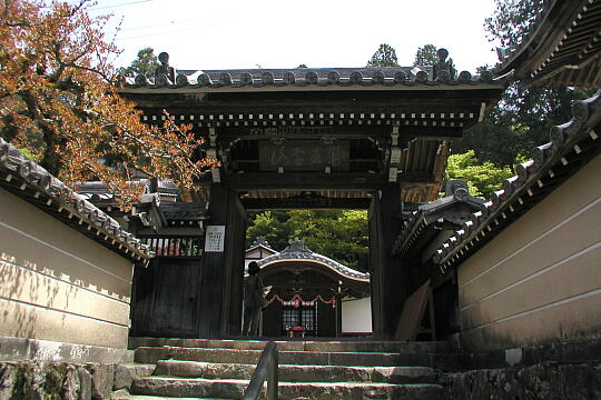 温泉寺 の写真(86) 2005年05月05日